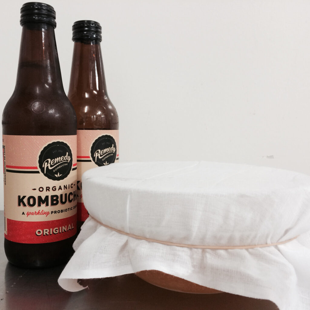 Learn how to make your own kombucha with Remedy Kombucha!